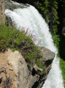 Summer '06 Sunriver 257 